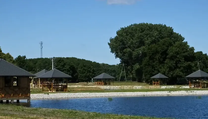 Łowisko Milejewo - idealne miejsce na wędkowanie i ryby do złowienia