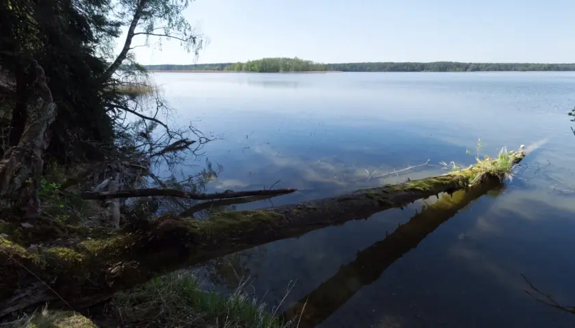 Jezioro Koprowo: raj dla wędkarzy i miłośników aktywnego wypoczynku