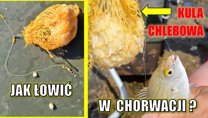 Na co łowić ryby w Chorwacji? Skuteczne przynęty, które działają