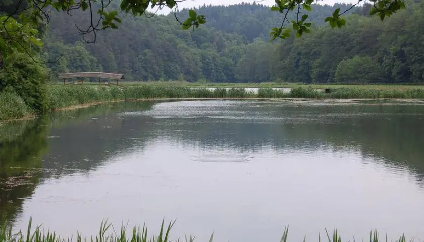 Łowisko w Dolinie Będkowskiej: najlepsze miejsca na wędkowanie