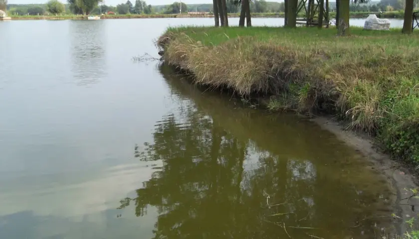 Łowisko 3 Stawy Goryń Radom - Idealne miejsce na wędkarską przygodę