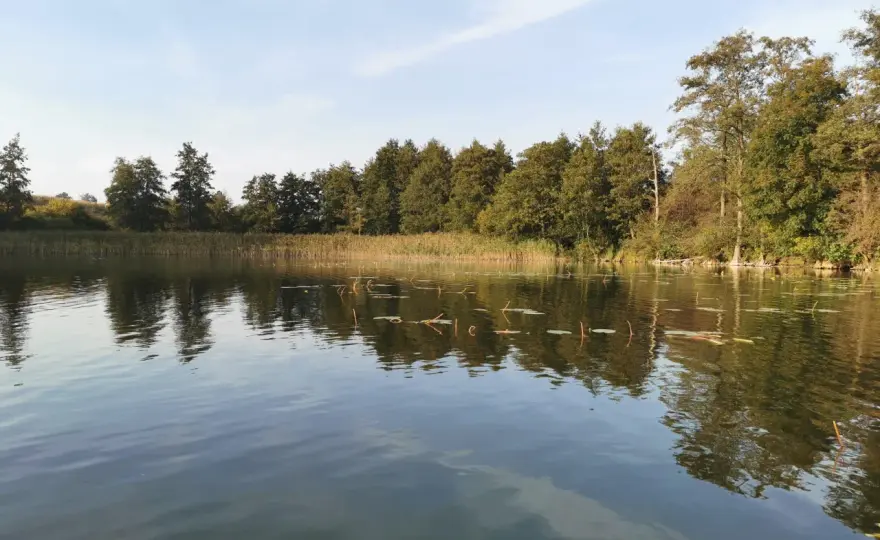 Łowisko Łopienno: Idealne miejsce na wędkowanie i relaks w naturze