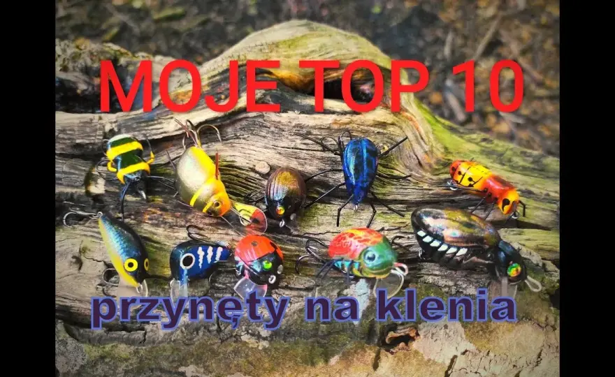 Skuteczne przynęty na klenia – wybierz najlepsze opcje na ryby