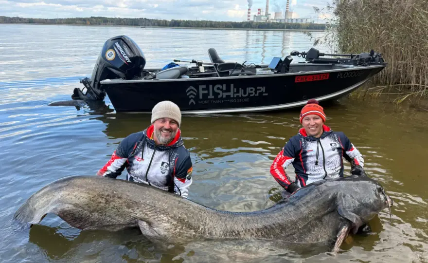 Rekord suma w Polsce - 292 cm. Sekrety łowienia gigantów
