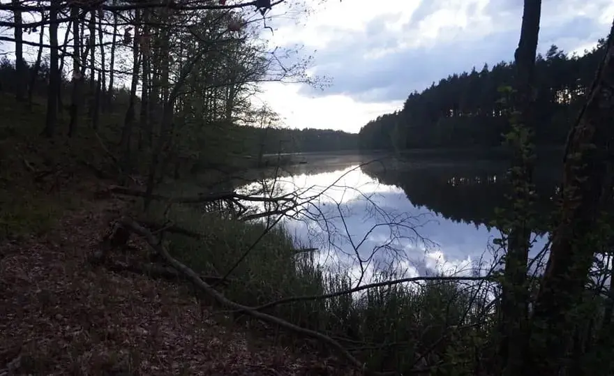 Łowisko Missisipi: Idealne miejsce na wędkarską przygodę w naturze