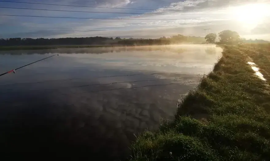 Rogów Legnicki łowisko - idealne miejsce na wędkarskie przygody