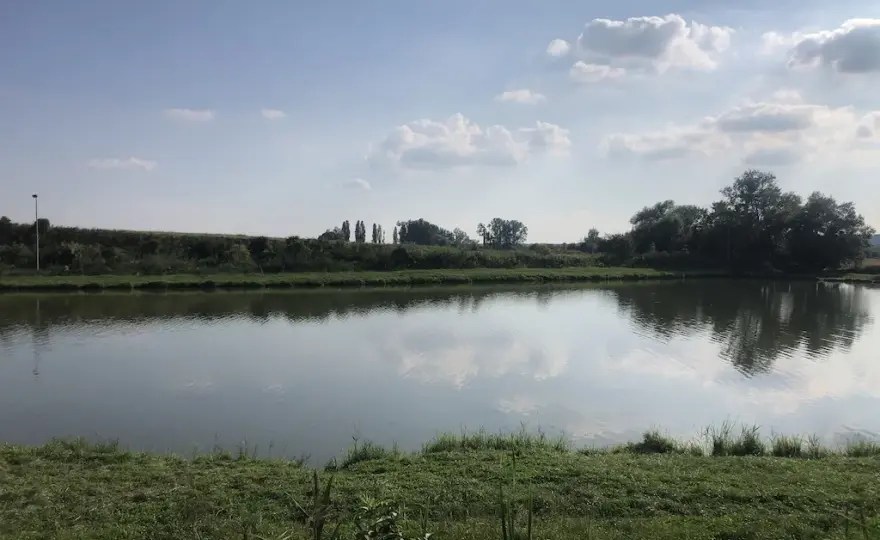 Łowisko Cysterskie: Idealne miejsce na wędkarskie przygody w Owińskach