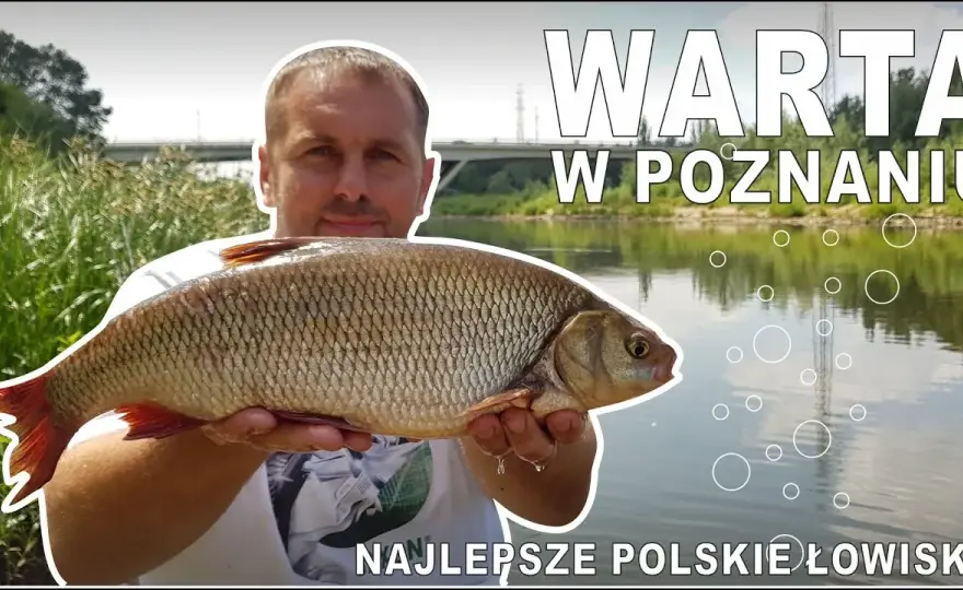 Warta gdzie na ryby: najlepsze miejsca i techniki wędkarskie