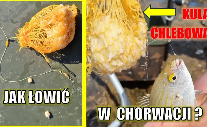 Na co łowić ryby w Chorwacji? Skuteczne przynęty, które działają