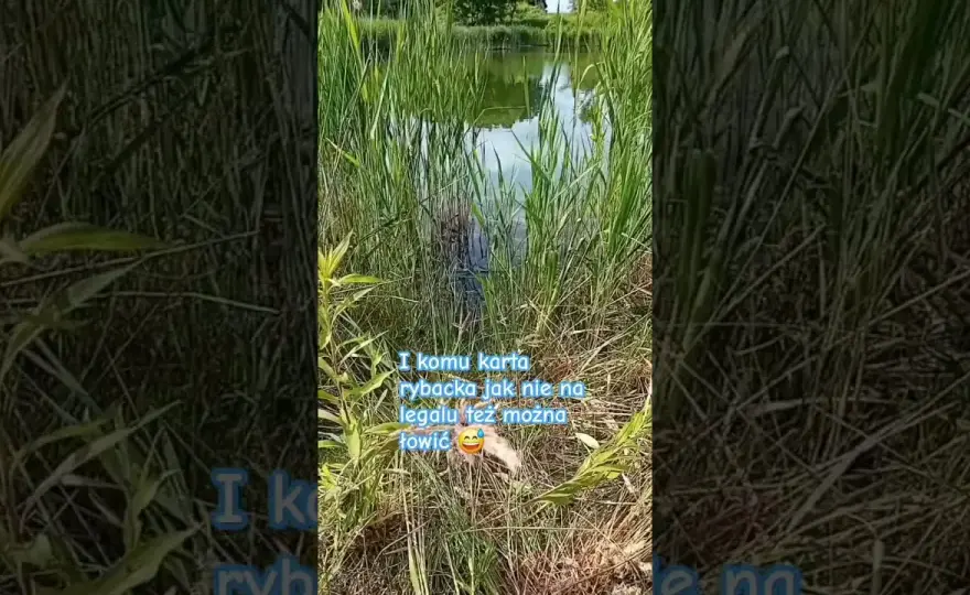 Gdzie na ryby bez karty Radom? Odkryj łowiska bez licencji