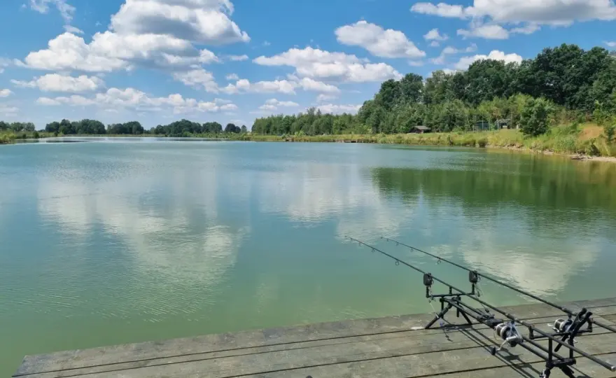 Łowisko Borowa - odkryj najlepsze miejsca na wędkowanie w Polsce