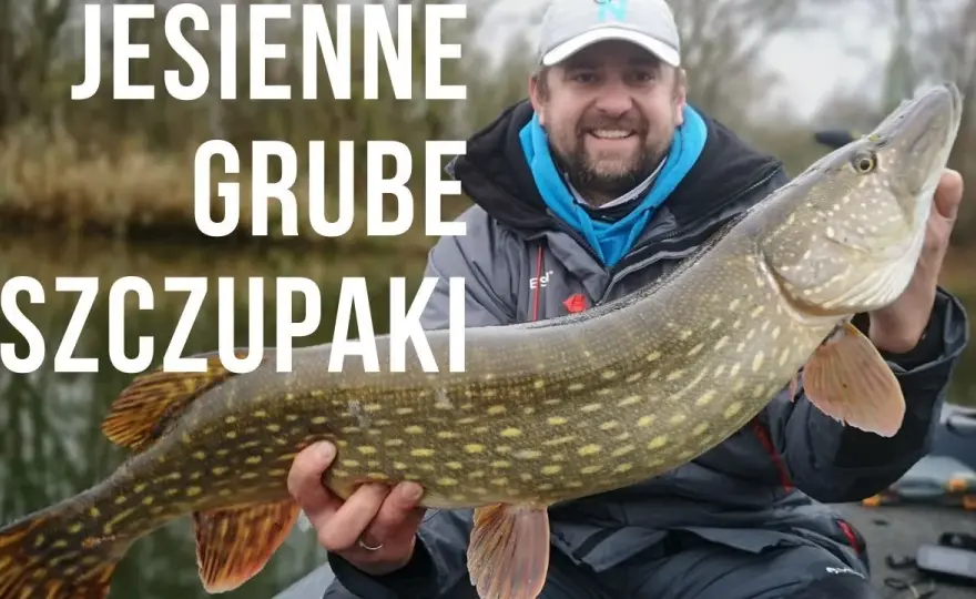 Najlepsze przynęty na szczupaka jesień - unikaj błędów w łowieniu