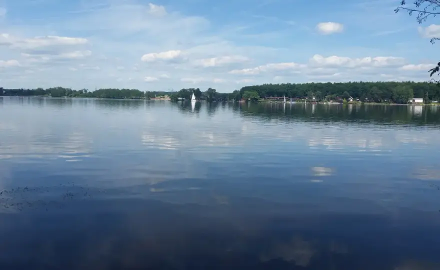 Jezioro Pławniowice - Wędkowanie: Co łowić i jak zwiększyć szanse?