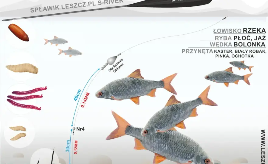 Wędka bolońska - Opanuj nurt i łów więcej ryb!