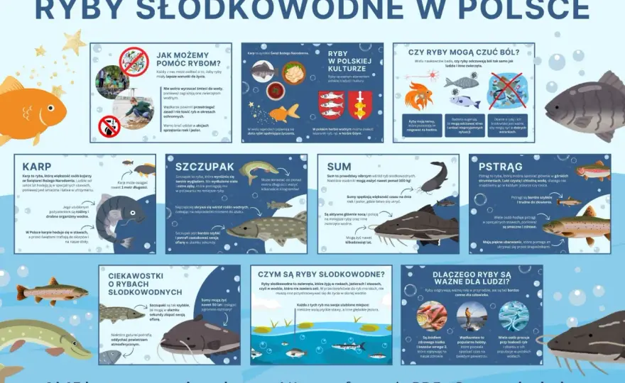 Ryby słodkowodne w Polsce - Czytaj wodę, łów skuteczniej!