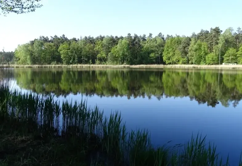 Łowisko Baroniok – idealne miejsce na wędkarską przygodę w Polsce