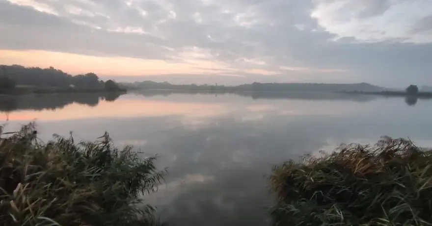 Łowisko Goldfish Manieczki: najlepsze miejsce na wędkowanie w regionie
