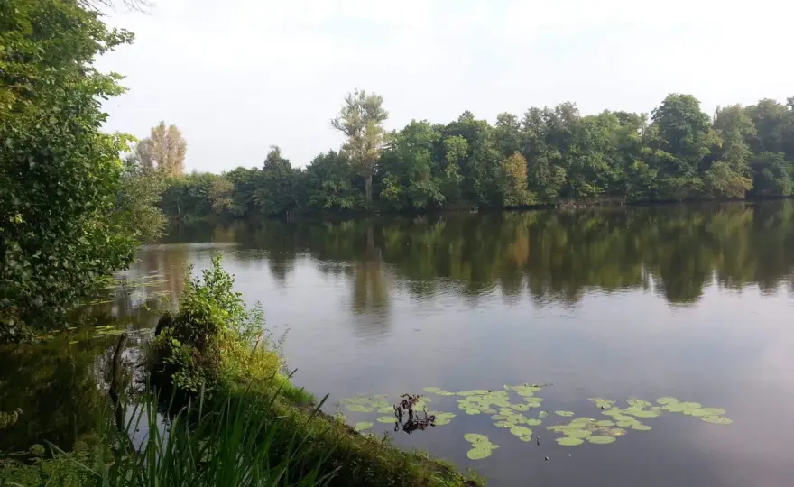 Jezioro Rokola - Łów mądrze, nie na ślepo. Kompletny przewodnik