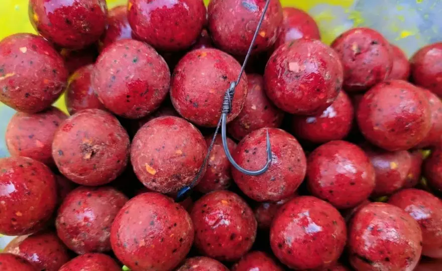Kulki proteinowe na karpia - Jakie naprawdę działają?