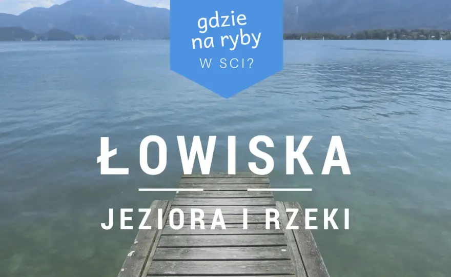 Gdzie na ryby PZW Katowice - najlepsze łowiska i ich tajemnice