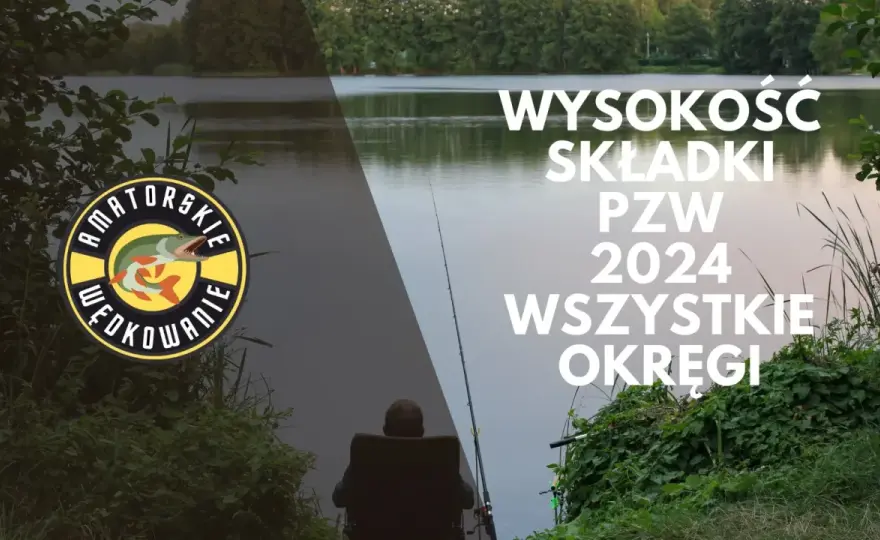 Ile kosztuje zezwolenie wędkarskie? Sprawdź ceny i różnice regionalne
