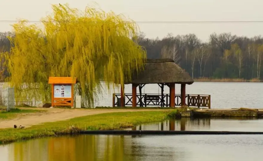 Łowisko Pawłowice: Wszystko, co musisz wiedzieć o wędkowaniu