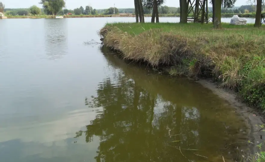 Łowisko 3 Stawy Goryń Radom - Idealne miejsce na wędkarską przygodę