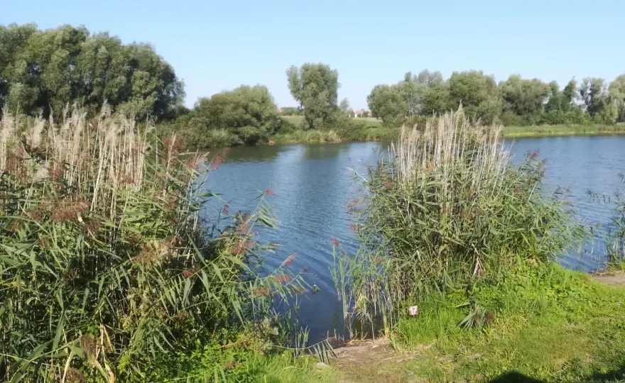 Gdzie na ryby bez karty kujawsko-pomorskie - najlepsze miejsca na wędkowanie