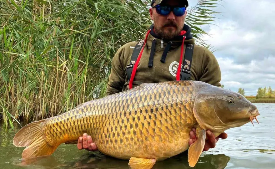 Łowisko Extra-Carp Radymno: Zasady, ryby i rezerwacje na wędkowanie
