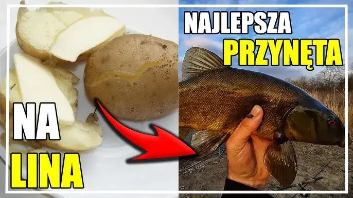 Jak zrobić ciasto wędkarskie, które skutecznie przyciąga ryby