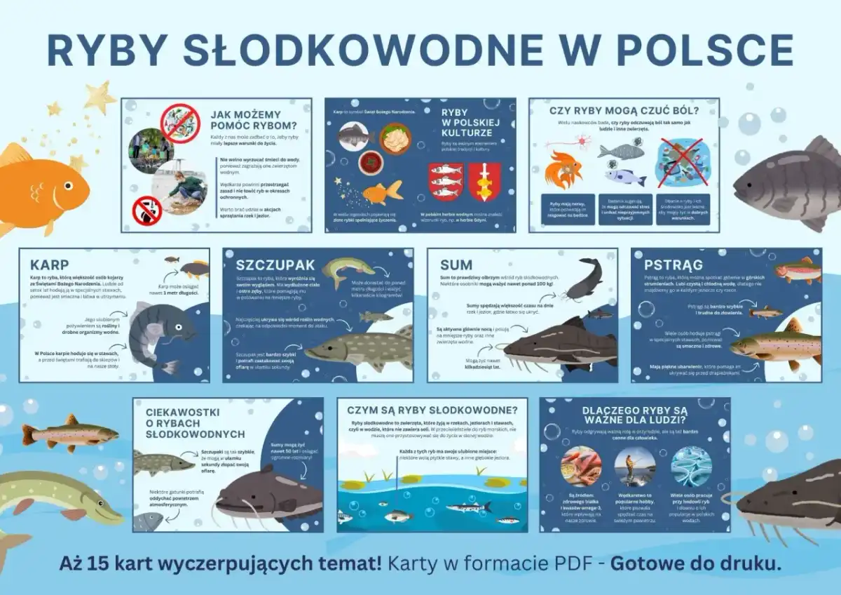 Uzębienie szczupaka - poznaj jego sekret i łów bezpiecznie