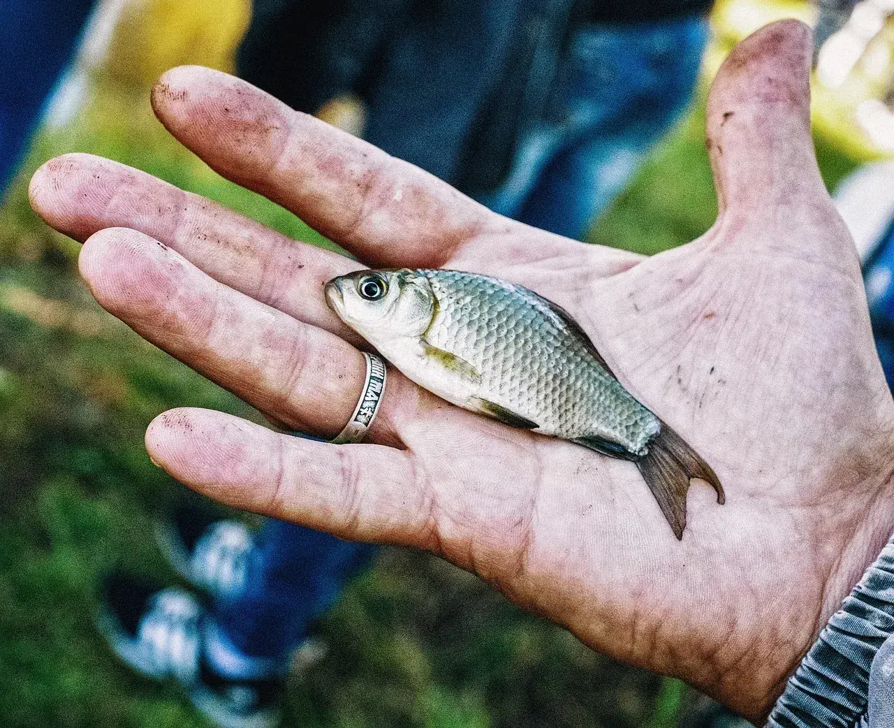 Wanilia na jakie ryby? Odkryj skuteczne przynęty i triki wędkarskie