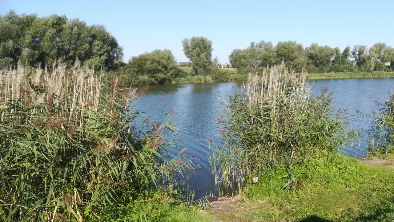 Gdzie na ryby bez karty kujawsko-pomorskie - najlepsze miejsca na wędkowanie