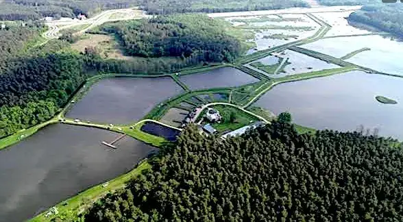 Łowisko Jegiel domek