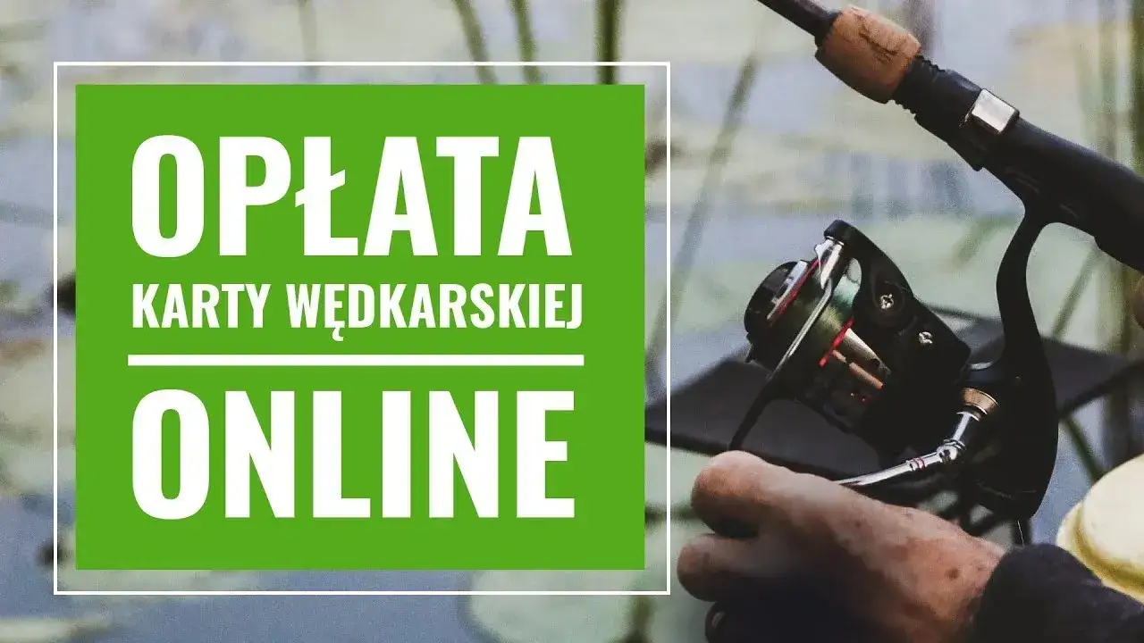 Zdjęcie Cennik łowiska Sazan: Przejrzyste opłaty i zniżki dla wędkarzy