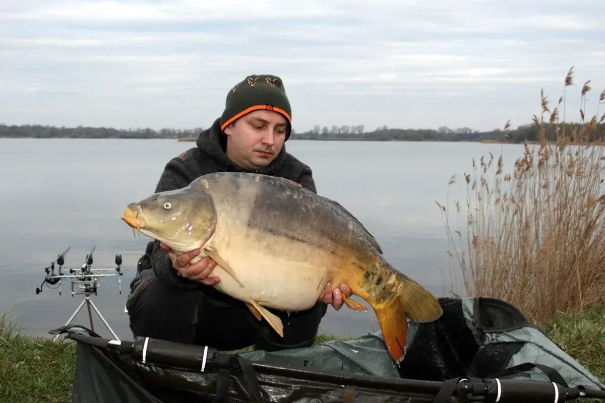 Wędkarz trzyma okazałego amura złowionego nad jeziorem.