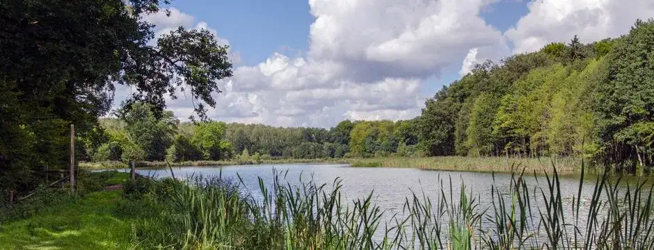 Zdjęcie Łowisko Woliczno – idealne miejsce na wędkowanie z rodziną i przyjaciółmi