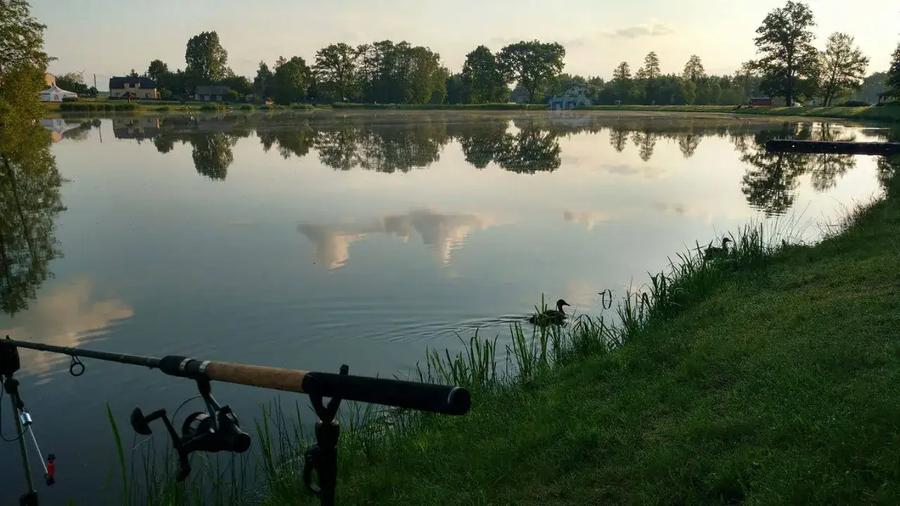 Spokojny poranek nad jeziorem. Wędka czeka na branie, a kaczki pływają po spokojnej tafli wody.