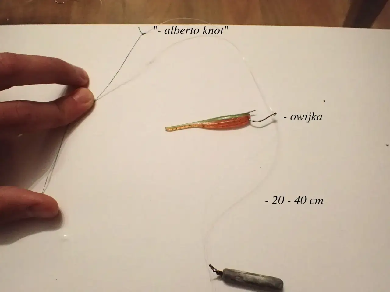 Zestaw do dropshot: przynęta, haczyk z owijką, żyłka z węzłem alberto i obciążenie 20-40 cm dalej.
