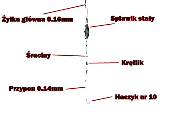 Zdjęcie Jak zrobić wędkę na spławik - krok po kroku dla początkujących