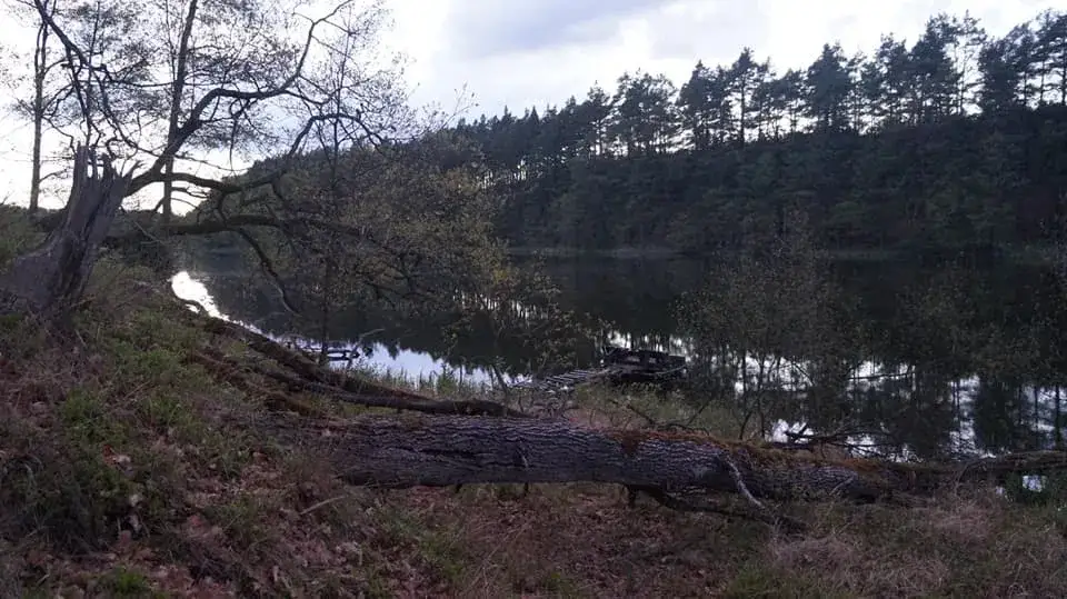 Zdjęcie Łowisko Missisipi: Idealne miejsce na wędkarską przygodę w naturze